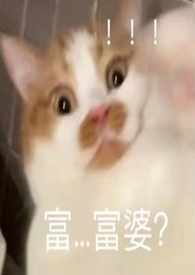 皇后和国师关系